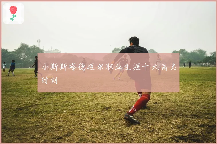 小斯斯塔德迈尔职业生涯十大高光时刻