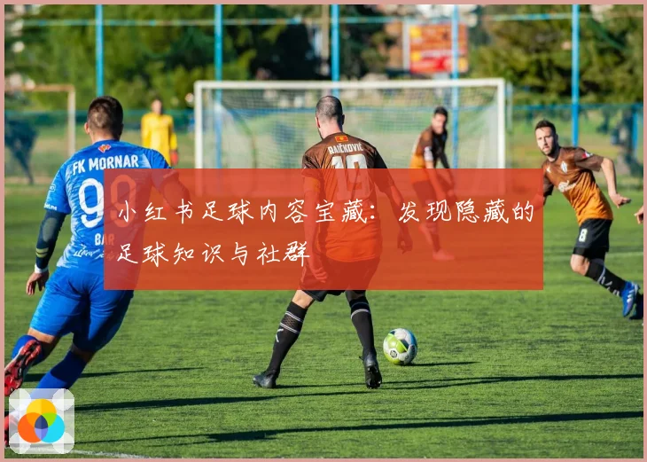 小红书足球内容宝藏:发现隐藏的足球知识与社群